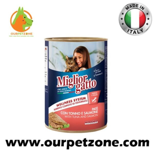 Miglior gatto Pate With Tuna& Salmon 400G