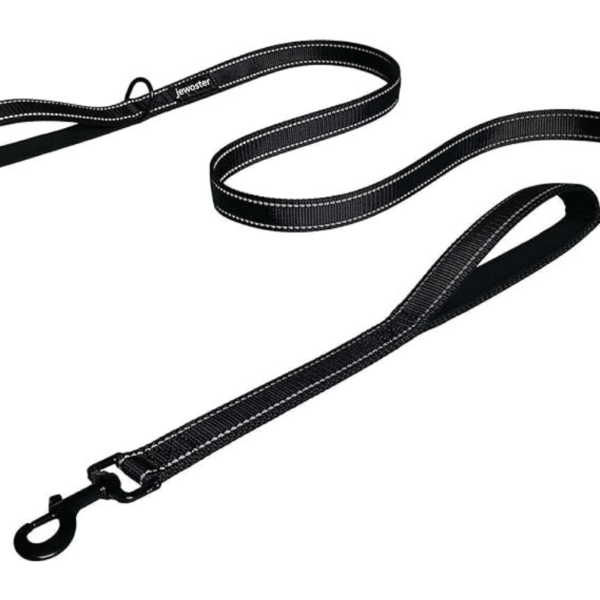 Unee Long Reflective Leash