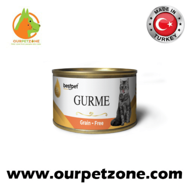 Best Pet Salmon Gurme 100G