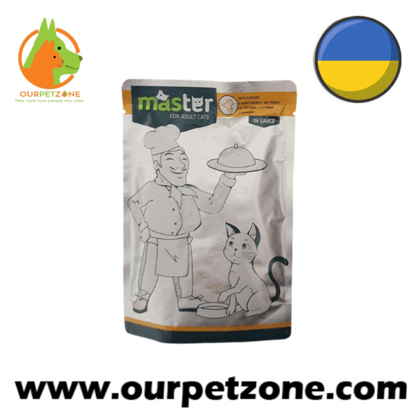 Master Chicken In Gravy 80g